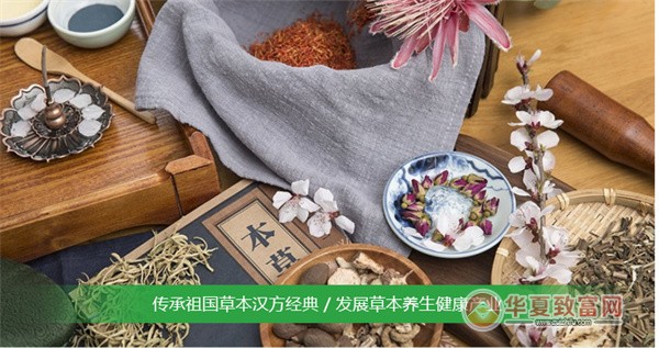 神草传奇染发加盟